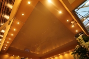 двухуровневый натяжной потолок с множеством светильниов